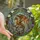 Fantasy Art Lovers' Majestic Stained Glass Dragon Forest Jewel Tones Golden Amber Violet Design Stained Glass Suncatcher - 1