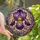 Floral Art Admirers' Intricate Tiffany-Style Purple Iris Stained Glass Celestial Mosaic Stained Glass Suncatcher - 4FQijOnkq1