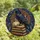 Fantasy & Lore Enthusiasts' Majestic Raven Stained Glass Art, Mystical Books & Arcane Symbols, Jewel Tones Stained Glass Suncatcher - qruihgYsmc