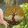 Nature Lovers' Radiant Stained Glass Tree of Life Golden Amber Green Blue Mosaic Art Stained Glass Suncatcher - 1