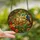 Tropical Enthusiasts' Tiffany Glass Sloth Toucan Jungle Jewel Tone Mosaic Art Stained Glass Suncatcher - 2