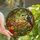 Tropical Enthusiasts' Tiffany Glass Sloth Toucan Jungle Jewel Tone Mosaic Art Stained Glass Suncatcher - 1