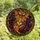 Cat Lovers' Vibrant Jewel Tone Stained Glass Cat Mosaic with Blue-Green Eyes & Intricate Geometric Swirl Patterns Stained Glass Suncatcher - 4