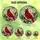 Nature Art Lovers' Tiffany Stained Glass Cardinal Bird Mosaic Deep Red Berries Jewel Tone Ethereal Sky Stained Glass Suncatcher - 6nWebCBzrc