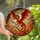 Fantasy Art Lovers' Majestic Dragon Stained Glass Fiery Jewel Tone Mosaic Stained Glass Suncatcher - 1