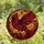 Nature Lovers' Intricate Stained Glass Cardinal Ruby Red Golden Yellow Jewel Tone Mosaic Art Stained Glass Suncatcher - bz-fOA8LmB