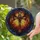 Alternative Style Adorers' Fiery Stained Glass Gothic Cross Bat Gargoyle Mosaic Art Stained Glass Suncatcher - tocnEYEnKs