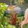 Nature Lovers' Tiffany Stained Glass Highland Cow Portrait Mountain Sunset Mosaic Stained Glass Suncatcher - 2