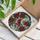 Nature & Art Lovers' Vibrant Red Cardinal Tiffany Stained Glass Poinsettia Holly Mosaic Stained Glass Suncatcher - f9s4blcmr8