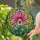 Nature Lovers' Tiffany Style Orchid Flower Deep Rose Pink Chartreuse Green Mosaic Art Stained Glass Suncatcher - 2