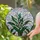 Nature Lovers' Tiffany Style Stained Glass Lily of the Valley Emerald Green Sky Blue Floral Mosaic Art Stained Glass Suncatcher - 2