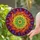 Art Lovers' Radiant Tiffany Style Intricate Spiral Rainbow Jewel Tones Mosaic Stained Glass Suncatcher - ahcdp5DoRE