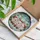 Christmas Enthusiasts' Glowing Tiffany Stained Glass Piglets Red Green Gold Winter Mosaic Pattern Stained Glass Suncatcher - 3