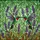 Nature Lovers' Tiffany Style Stained Glass Hummingbirds Lavender Purple Jewel Tone Mosaic Stained Glass Suncatcher - 5