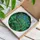 Nature Lovers' Intricate Tiffany Style Emerald Green Teal Blue Stained Glass Chameleon Jungle Art Stained Glass Suncatcher - iZvYFIGRWG