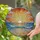 Nature Lovers' Vibrant Tiffany Stained Glass Sunrise Ocean Waves & Sandy Beach Jewel Tones Stained Glass Suncatcher - 2