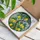 Art Lovers' Vibrant Tiffany Stained Glass Lemon Grove Yellow Green Blue Mosaic Stained Glass Suncatcher - yX7NxMgBqU