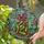Art Lovers' Tiffany Stained Glass Pickle Jar Gherkins Emerald Green Magenta Mosaic Stained Glass Suncatcher - 2
