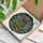 Art Lovers' Tiffany Stained Glass Pickle Jar Gherkins Emerald Green Magenta Mosaic Stained Glass Suncatcher - 3