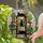 Cat & Plant Enthusiasts' Intricate Tiffany Style Stained Glass Black Cats & Houseplants Mosaic Stained Glass Suncatcher - 2