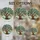Art Lovers' Tiffany Style Jewel Tone Stained Glass Olive Tree Emerald Blue Yellow Mosaic Design Stained Glass Suncatcher - 4
