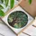 Art Lovers' Tiffany Style Jewel Tone Stained Glass Olive Tree Emerald Blue Yellow Mosaic Design Stained Glass Suncatcher - 3