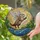 Whimsical Art Enthusiasts' Tiffany Stained Glass Flying Otter, Iridescent Wings, Magic Wand, Amber Blue Green Enchanted Mosaic Stained Glass Suncatcher - 2