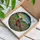 Wildlife Admirers' Tiffany Style Stained Glass Pheasant Jewel Tone Meadow Mosaic Stained Glass Suncatcher - 5kJKjL0Qq5