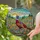Wildlife Admirers' Tiffany Style Stained Glass Pheasant Jewel Tone Meadow Mosaic Stained Glass Suncatcher - kgP2ynf8s7