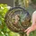 Fantasy Art Lovers' Tiffany Style Stained Glass Fairy Celestial Mosaic Gleaming Jewel Tones Intricate Vines Stained Glass Suncatcher - 2