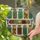 Botanical Art Lovers' Intricate Stained Glass Dried Herbs & Spices Jars, Emerald Green, Earthy Brown, Soft Lavender, Sunny Orange Mosaic Stained Glass Suncatcher - 2