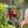Wine Lover's Stained Glass Ruby Red Wine Glass & Golden Grapes Tiffany Mosaic Stained Glass Suncatcher - fcIxeX7lAC