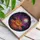 Halloween Enthusiasts' Jewel Tone Tiffany Stained Glass Fiery Jack-o'-lantern Cosmic Forest Art Stained Glass Suncatcher - MC-I96F-IX