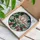 Nature Lovers' Vibrant Pink Fuchsia Magnolia Stained Glass Emerald Leaf Design Stained Glass Suncatcher - 3