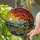 Nature & Art Lovers' Radiant Stained Glass Sun Tree Meadow Wildflower Mosaic Orange Red Purple Green Stained Glass Suncatcher - 2