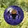 Halloween Lovers' Intricate Tiffany Glass Bat & BOO! Pumpkin Deep Purple Night Sky Jewel Tones Stained Glass Suncatcher - 1