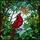 Nature Lovers' Tiffany Stained Glass Ruby Red Cardinal Emerald Leaves Amber Berries Mosaic Art Stained Glass Suncatcher - 5