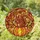 Autumn Lovers' Detailed Stained Glass Squirrel Pumpkin Acorn Fall Leaves Mosaic Jewel Tones Stained Glass Suncatcher - 1