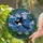 Art Lovers' Tiffany-Style Stained Glass Magpie in Flight, Jewel Tone Mosaic Sky & Metallic Scrolls Stained Glass Suncatcher - G08XrOqbCg