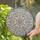 Art Enthusiasts' Detailed Tiffany Style Stained Glass Snowflake with Ice Crystal Mosaic in Creamy Jewel Tones Stained Glass Suncatcher - 2