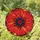 Art Lovers' Tiffany Style Stained Glass Fiery Red Orange Poppy Mosaic Jewel Tones Stained Glass Suncatcher - 1