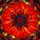 Art Lovers' Tiffany Style Stained Glass Fiery Red Orange Poppy Mosaic Jewel Tones Stained Glass Suncatcher - 5