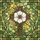 Art & Nature Lovers' Vibrant Stained Glass White Flower Celtic Knot Cross Intricate Green Yellow Mosaic Stained Glass Suncatcher - 5