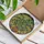 Nature Lovers' Intricate Tiffany Style Stained Glass Tropical Plant Mosaic Jewel Tones Stained Glass Suncatcher - 3