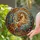Fantasy Art Enthusiasts' Stained Glass Unicorn Jack-o'-Lantern Autumnal Forest Mosaic Jewel Tones Stained Glass Suncatcher - skD5AEmdGO