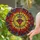 Art & Spirituality Admirers Flaming Sacred Heart Tiffany Glass Red Gold Sunburst Stained Glass Suncatcher - 2
