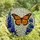 Nature Lovers' Glowing Stained Glass Orange Monarch Blue Lupine Intricate Mosaic Stained Glass Suncatcher - 4