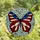 Stained Glass Art Lovers' Majestic Butterfly Tiffany Red Blue White Gold Starry Striped Celestial Mosaic Stained Glass Suncatcher - rD7pLyXlOm