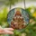Whimsical Holiday Lovers' Stained Glass Chicken Christmas Tree Emerald Ruby Teal Mosaic Stained Glass Suncatcher - 2