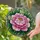Women's Stained Glass Tiffany Style Peony Fuchsia Pink Golden Yellow Emerald Green Intricate Botanical Mosaic Stained Glass Suncatcher - 2